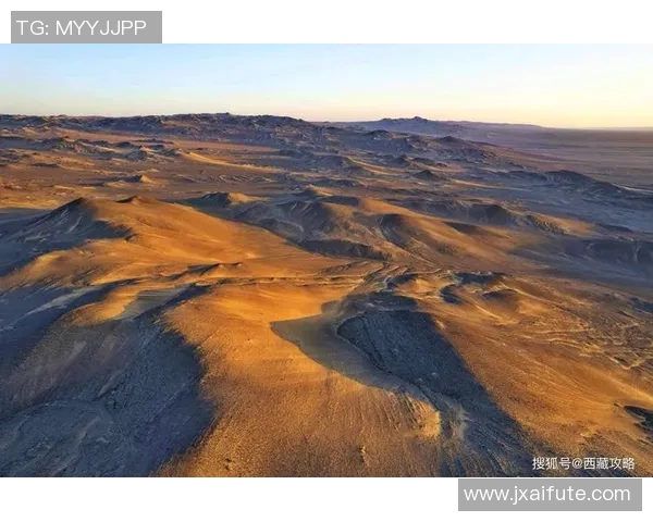 布莱克尼的魅力探秘：揭开这座小镇的历史与文化之美